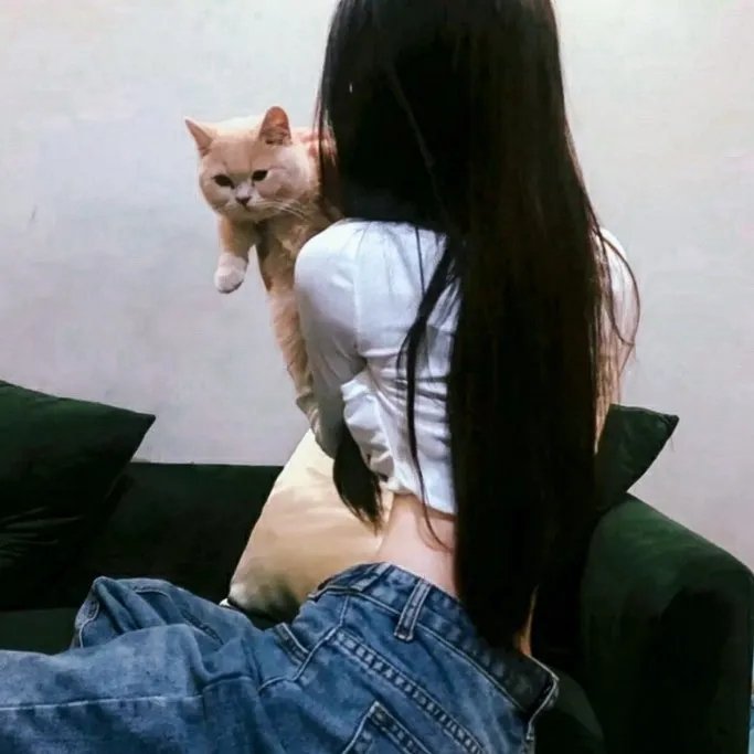 精灵宝可梦:皮卡丘的暑假